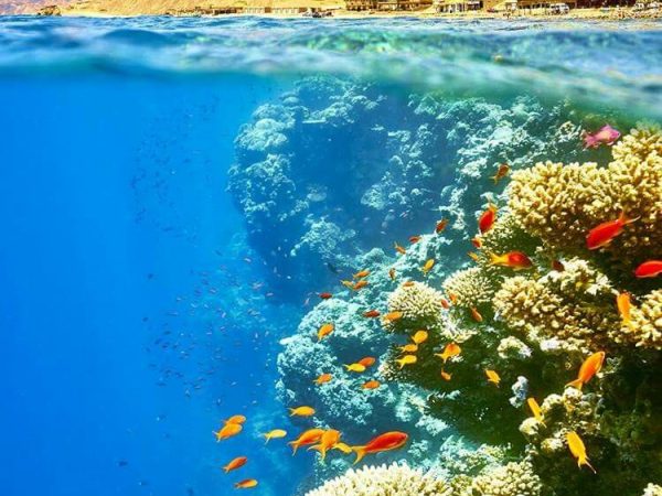 Marsa Alam